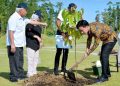 Wapres Gibran Tanam Pohon Ulin di IKN sebagai Simbol Ketangguhan dan Komitmen Lingkungan