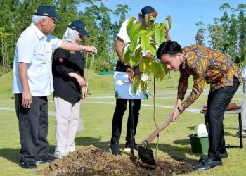 Wapres Gibran Tanam Pohon Ulin di IKN sebagai Simbol Ketangguhan dan Komitmen Lingkungan