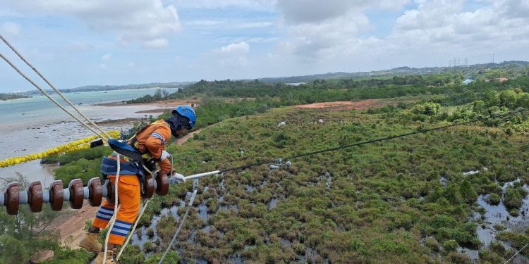 PLN Setor Rp65,59 Triliun ke Negara dengan Laba Bersih Rp17,76 Triliun di 2024