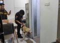 Penggerebekan Rumah Bandar Sabu di Gunung Bugis Balikpapan dengan Anjing Pelacak
