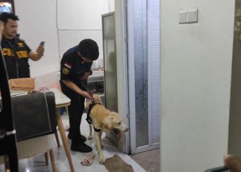 Penggerebekan Rumah Bandar Sabu di Gunung Bugis Balikpapan dengan Anjing Pelacak