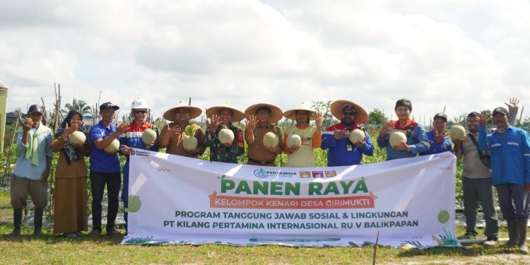 Dukungan Panen Raya Melon Kelompok KENARI oleh PT KPI Unit Balikpapan untuk Ketahanan Pangan