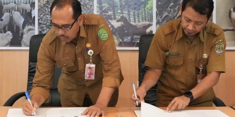 Dukung Ketahanan Pangan, Distanak Kukar Kerja Sama DPKH Kaltim Kembangkan Peternakan