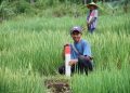 Gelar GEMAPATAS Serentak di 23 Kabupaten Kota Termasuk Kutai Kartanegara