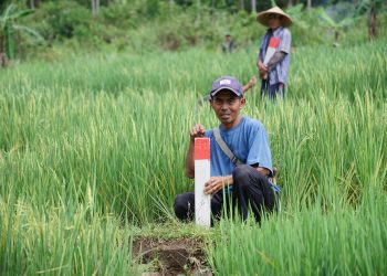 Gelar GEMAPATAS Serentak di 23 Kabupaten Kota Termasuk Kutai Kartanegara