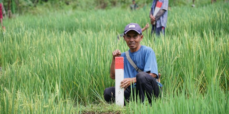 Gelar GEMAPATAS Serentak di 23 Kabupaten Kota Termasuk Kutai Kartanegara