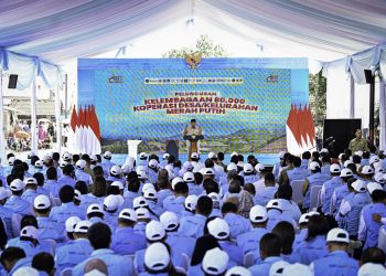DPR Awasi 8 Kebijakan Ekonomi Prabowo: Holding BUMN dan Penguatan Desa