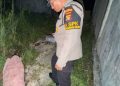 Konflik Cinta Berujung Maut, Remaja di Balikpapan Tewas Ditikam Teman