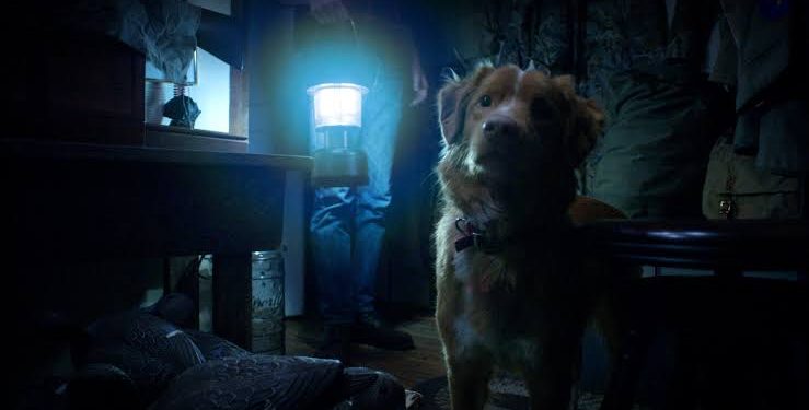 Sinopsis Good Boy Horor dari Perspektif Anjing Tayang Oktober 2025