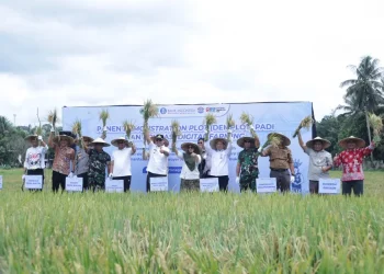 Panen Demplot Kukar Capai 6,2 Ton per Hektare, Wagub Kaltim Dorong Produktivitas Padi Naik
