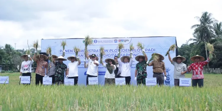 Panen Demplot Kukar Capai 6,2 Ton per Hektare, Wagub Kaltim Dorong Produktivitas Padi Naik