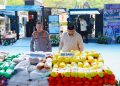 Presiden Musnahkan 214 Ton Narkoba Senilai Rp29 Triliun