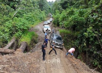 Jalur Sotek Bongan Sepanjang 105 Km Tembus, Hemat Waktu dan Biaya Hingga 80 Persen