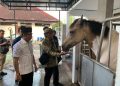 Rahmad Mas’ud Pimpin Pordasi Kaltim, Event Berkuda Setiap Tiga Bulan