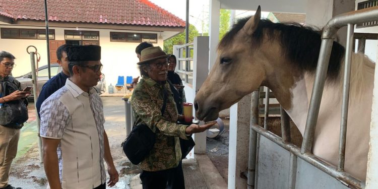 Rahmad Mas’ud Pimpin Pordasi Kaltim, Event Berkuda Setiap Tiga Bulan