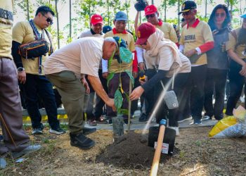 Otorita IKN Raih Rekor MURI Penanaman 1010 Pohon Liberika dengan 1486 Peserta