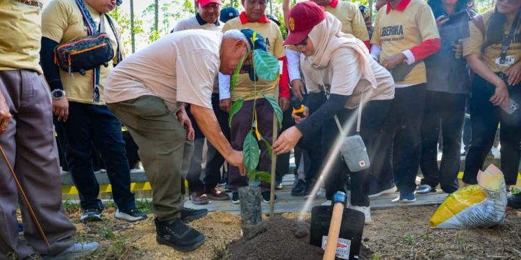Otorita IKN Raih Rekor MURI Penanaman 1010 Pohon Liberika dengan 1486 Peserta