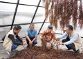 Sentra Rumput Laut Modern Tihi-Tihi Dorong Produktivitas Hingga 6 Ton