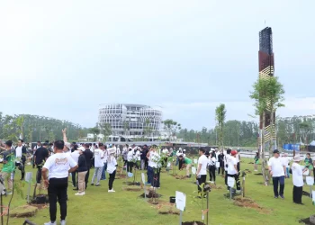 Otorita IKN Tanam Pohon Rutin, Basuki Sebut Sudah 7,5 Hektar Ditanam
