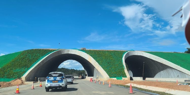 Jalan Tol Balikpapan IKN Sementara Dibuka Tanpa Tarif dan Limit Kecepatan