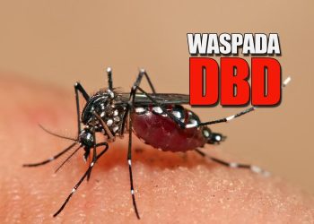 Waspada Akhir Tahun, Penyakit yang Rentan Menyerang Masyarakat