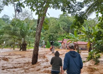 Hasan Nasbi Sebut Akar Masalah Banjir Bukan di Menteri Baru, Berikut Penjelasannya
