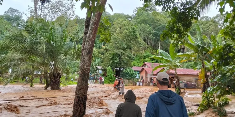 Hasan Nasbi Sebut Akar Masalah Banjir Bukan di Menteri Baru, Berikut Penjelasannya