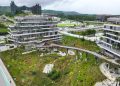 Tanam 500 Pohon di IKN untuk Peringati HMPI dan Perkuat Forest City Nusantara