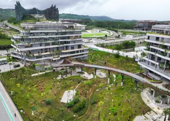 Tanam 500 Pohon di IKN untuk Peringati HMPI dan Perkuat Forest City Nusantara
