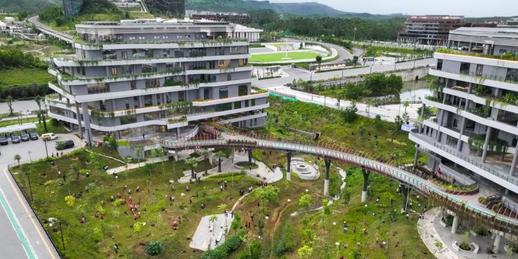 Tanam 500 Pohon di IKN untuk Peringati HMPI dan Perkuat Forest City Nusantara