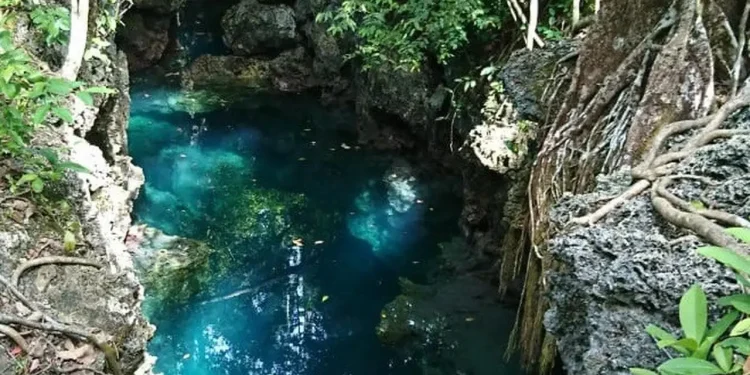 Goa Halo Tabung Maratua: Keindahan Goa Karst dengan Kolam Air Laut Jernih