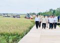Rekor Presiden Umumkan Indonesia Resmi Swasembada Pangan Hanya dalam 1 Tahun