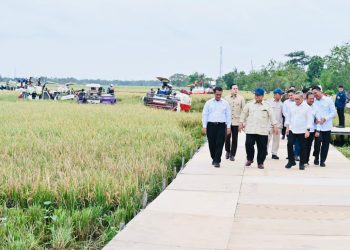 Rekor Presiden Umumkan Indonesia Resmi Swasembada Pangan Hanya dalam 1 Tahun