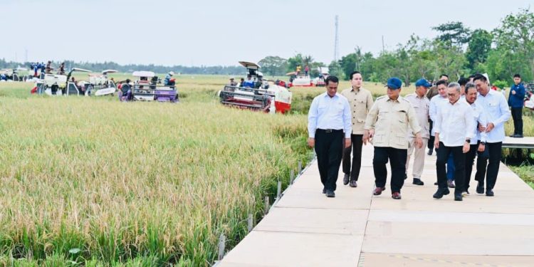Rekor Presiden Umumkan Indonesia Resmi Swasembada Pangan Hanya dalam 1 Tahun