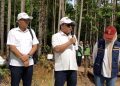 Dukung IKN Green City, KAGAMA dan Wawali Tanam 50 Pohon di Nusantara