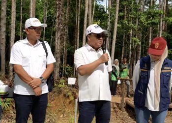 Dukung IKN Green City, KAGAMA dan Wawali Tanam 50 Pohon di Nusantara