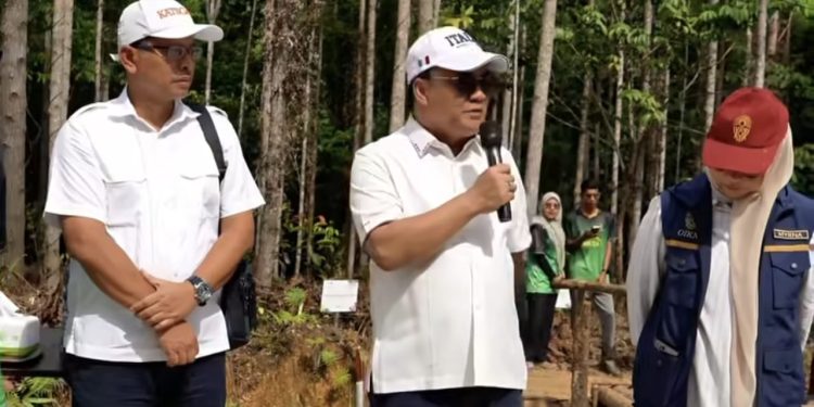 Dukung IKN Green City, KAGAMA dan Wawali Tanam 50 Pohon di Nusantara